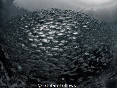 "They say the universe is expanding. That should help wit... by Stefan Follows 