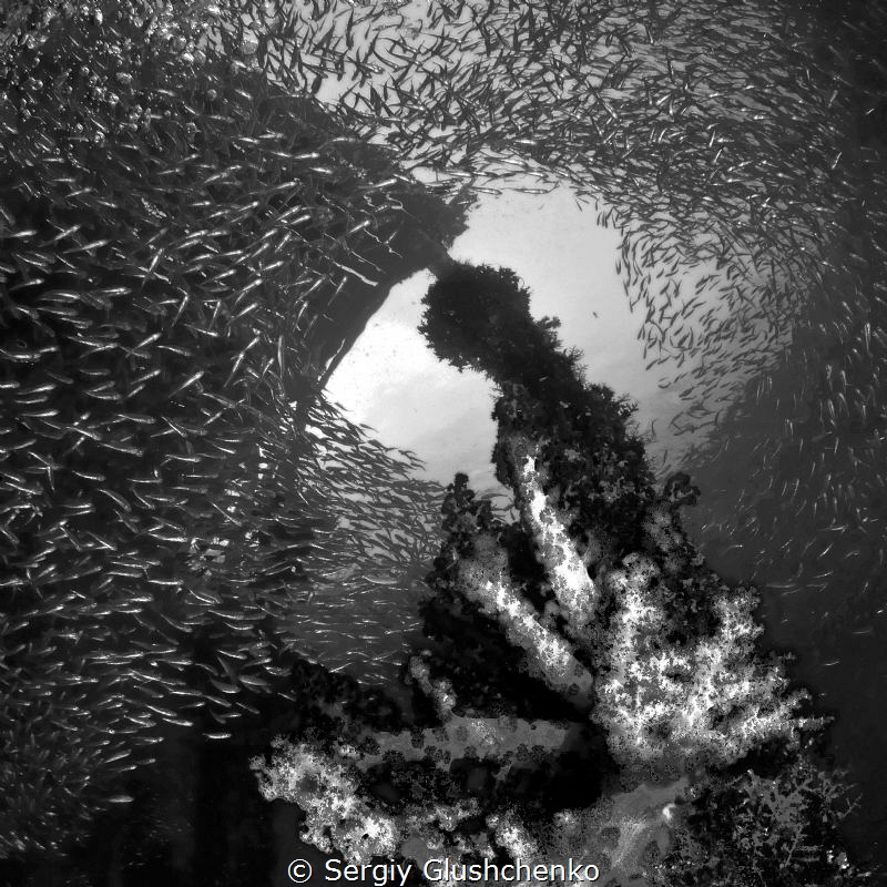 Raja Ampat by Sergiy Glushchenko 