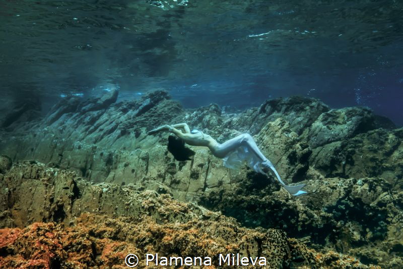 Mermaid by Plamena Mileva 
