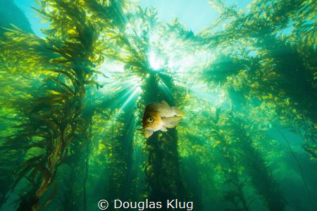 Hello there!. I love to try and fill the foreground on th... by Douglas Klug 