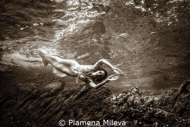 Follow me by Plamena Mileva 