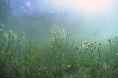 Lake Marmorera, Switzerland. After many rainy days the la... by Pablo Pianta 