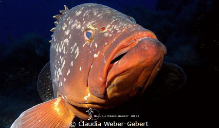 coming close by Claudia Weber-Gebert 