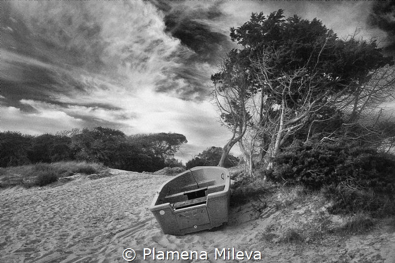 Solitary by Plamena Mileva 