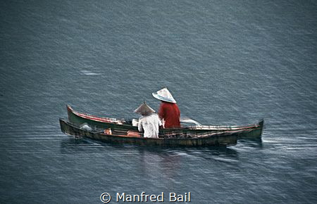 raining cats and dogs by Manfred Bail 