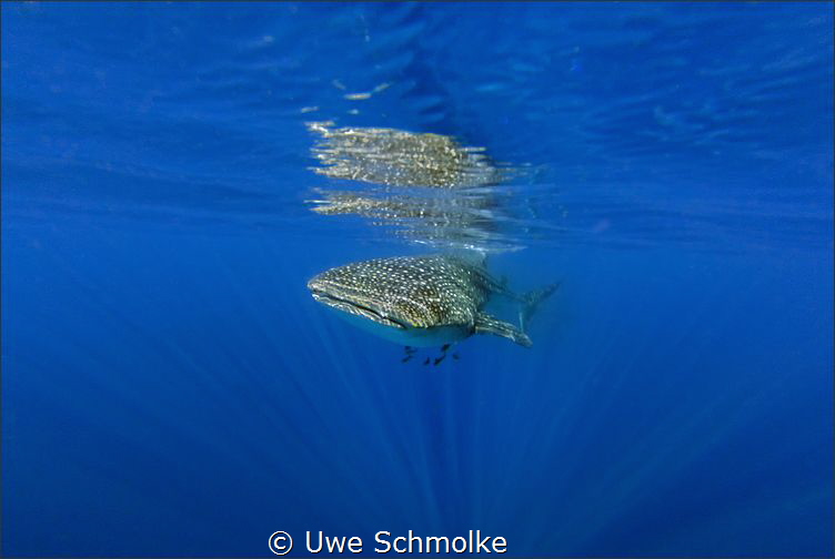 Riding the light beam by Uwe Schmolke 