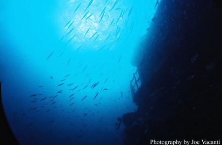 Indra, Off Morehead City, North Carolina
Canon Rebel 200... by Joseph Vacanti 
