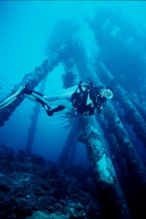 The amazing Salt Pier in Bonaire. Diver's playground!!!
... by Erich Reboucas 