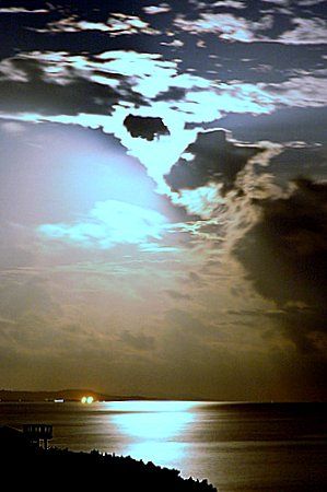 Moon rising and not the sun this time. Roatan, Honduras. by Shawn Jackson 