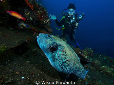 Tulamben, Liberty wreck by Wisnu Purwanto 