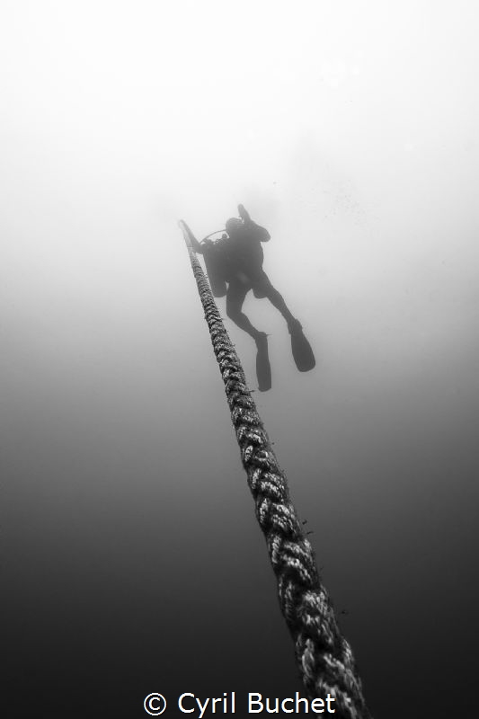 C-56 Wreck Puerto Morelos Mexico by Cyril Buchet 