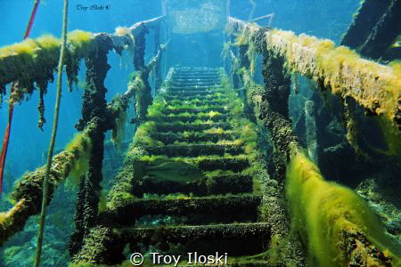 Enter the 5th Dimension
Dutch Springs, Stargate in to th... by Troy Iloski 
