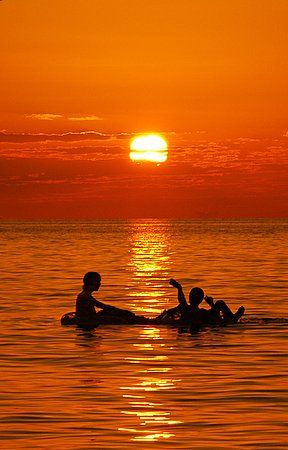 Roatan, Honduras. by Shawn Jackson 