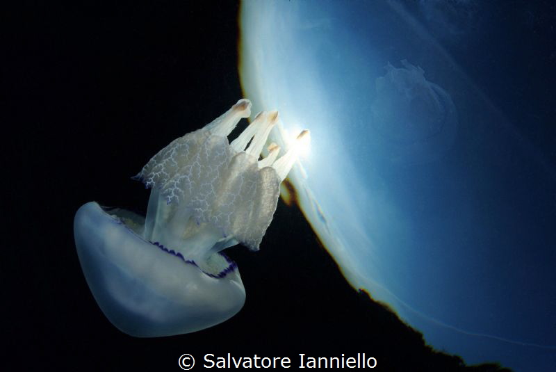 Reflection by Salvatore Ianniello 