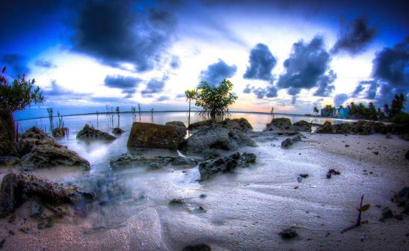 Bone fishing beach by Steven Miller 
