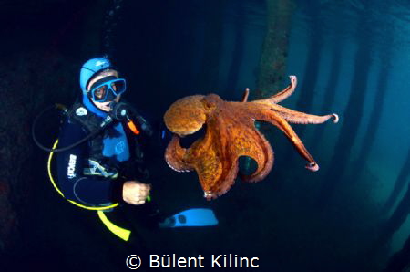 Octapus and Man by Bülent Kılınc 