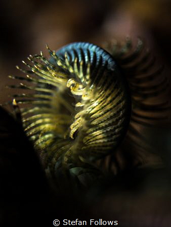 "Darkness cannot drive out darkness; only light can do th... by Stefan Follows 