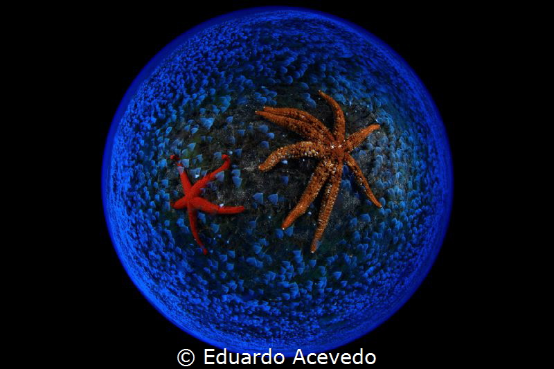Canon 8-15mm len. by Eduardo Acevedo 