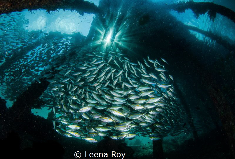 Beneath Arborek jetty by Leena Roy 