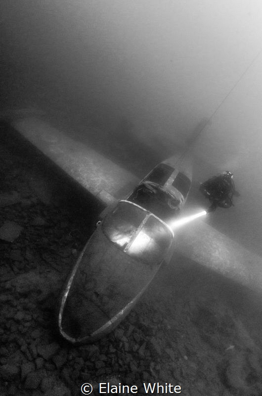 Diver on the provost jet plane by Elaine White 
