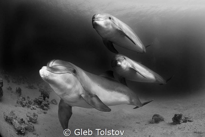Passing by by Gleb Tolstov 