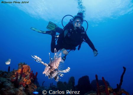 The Flying of two species.. In the rigth moment in the ri... by Carlos Pérez 