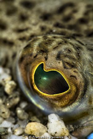 [:b:]EYE[:/B:]
Test Nikkor 85mm Macro VR by Francesco Pacienza 