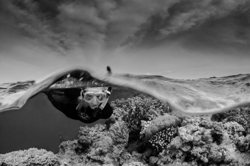 Natural Over/Under B&W by Steven Miller 