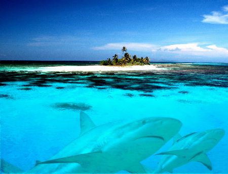 Roatan, Honduras. by Shawn Jackson 