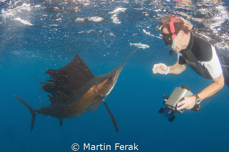 Face to face by Martin Ferak 