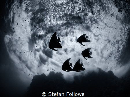 "If there must be trouble, let it be in my day, that my c... by Stefan Follows 
