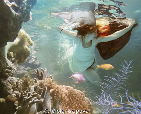 The Little Mermaid by Viola Krupova 