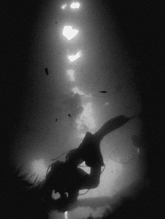 hardeep wreck in pattaya, thailand. what a wonderful dive... by Reeza Mohd Rosli 