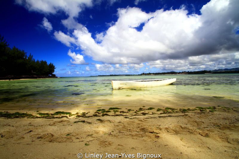 Northern Mauritius -Post Lafeyette -

Undewater Photogr... by Linley Jean-Yves Bignoux 