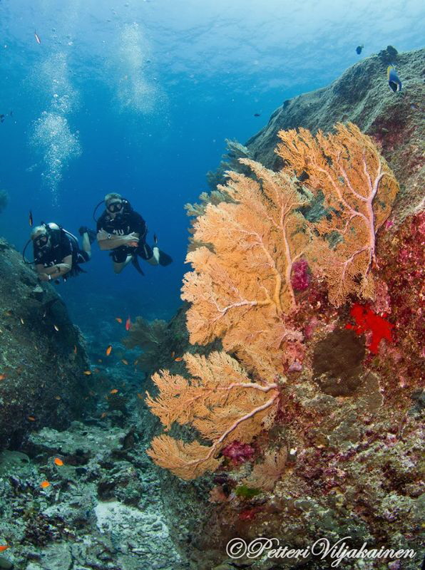 Similan Islands. Thailand by Petteri Viljakainen 