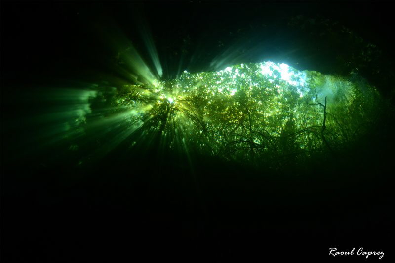 Green eye (Cenote - Mexico) by Raoul Caprez 