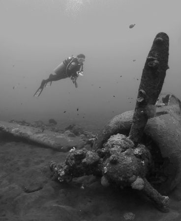 'Diver over the plane II.' from Walindi (PNG). Taken with... by Istvan Juhasz 