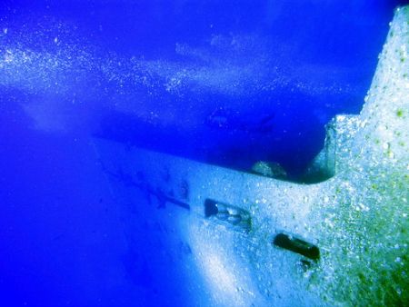 Salem Express, Red Sea by Gordana Zdjelar 