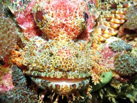 Taken at Phi Phi Islands, Thailand by Dennis Siau 