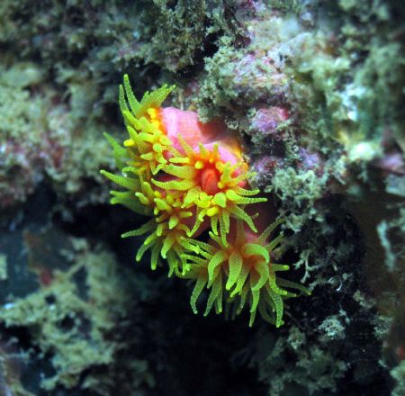 Taken at PHi Phi Islands, Thailand by Dennis Siau 
