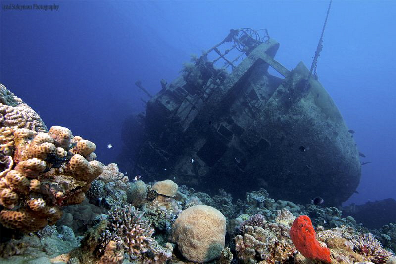 Cedar Pride Wreck by Iyad Suleyman 