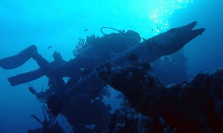 Big barracuda in the red sea... by Steven Withofs 