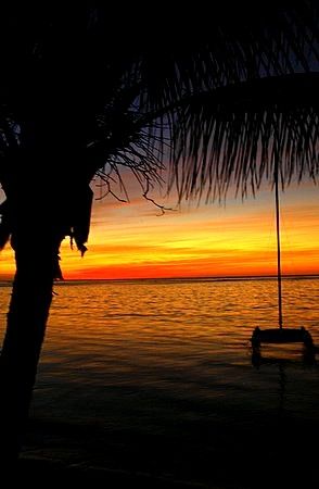 Roatan, Honduras. by Shawn Jackson 