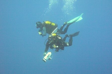 dive in the blue - Princesa Alice seamount by David Abecasis 