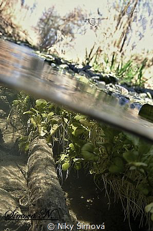 My testing in a small creek by Niky Šímová 