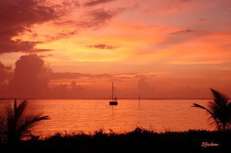 Roatan, Honduras. by Shawn Jackson 