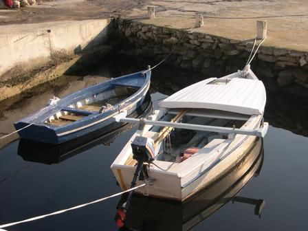 Boats in port by Damir Skific 