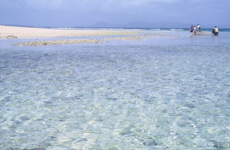 Taveuni, Fiji by Morgan Douglas 