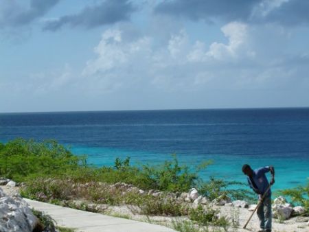 What an Office....taken in Curacao with a Sony Cybershot ... by Kelly N. Saunders 