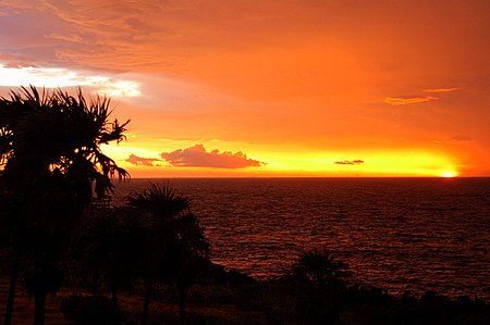 Roatan, Honduras. by Shawn Jackson 